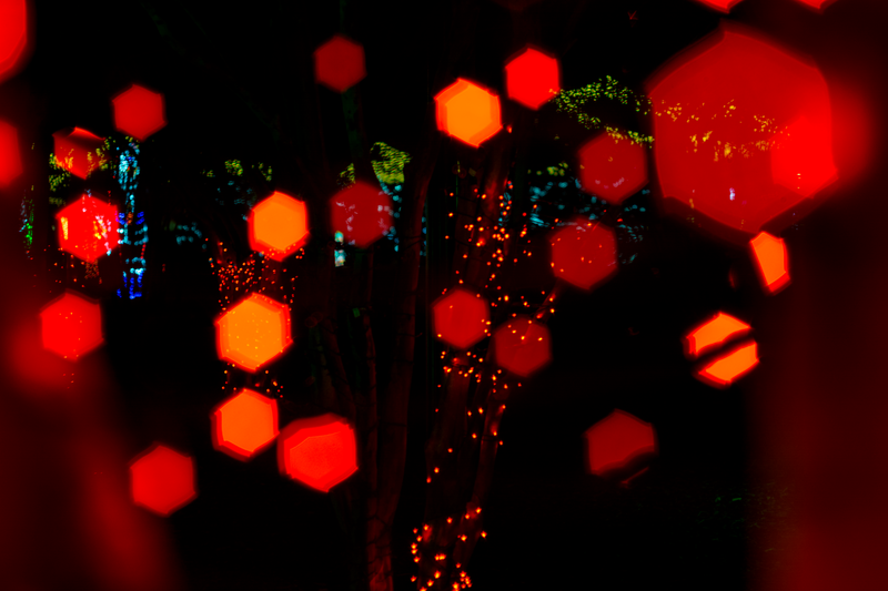 Illustration for article titled Obligatory Christmas Light Post
